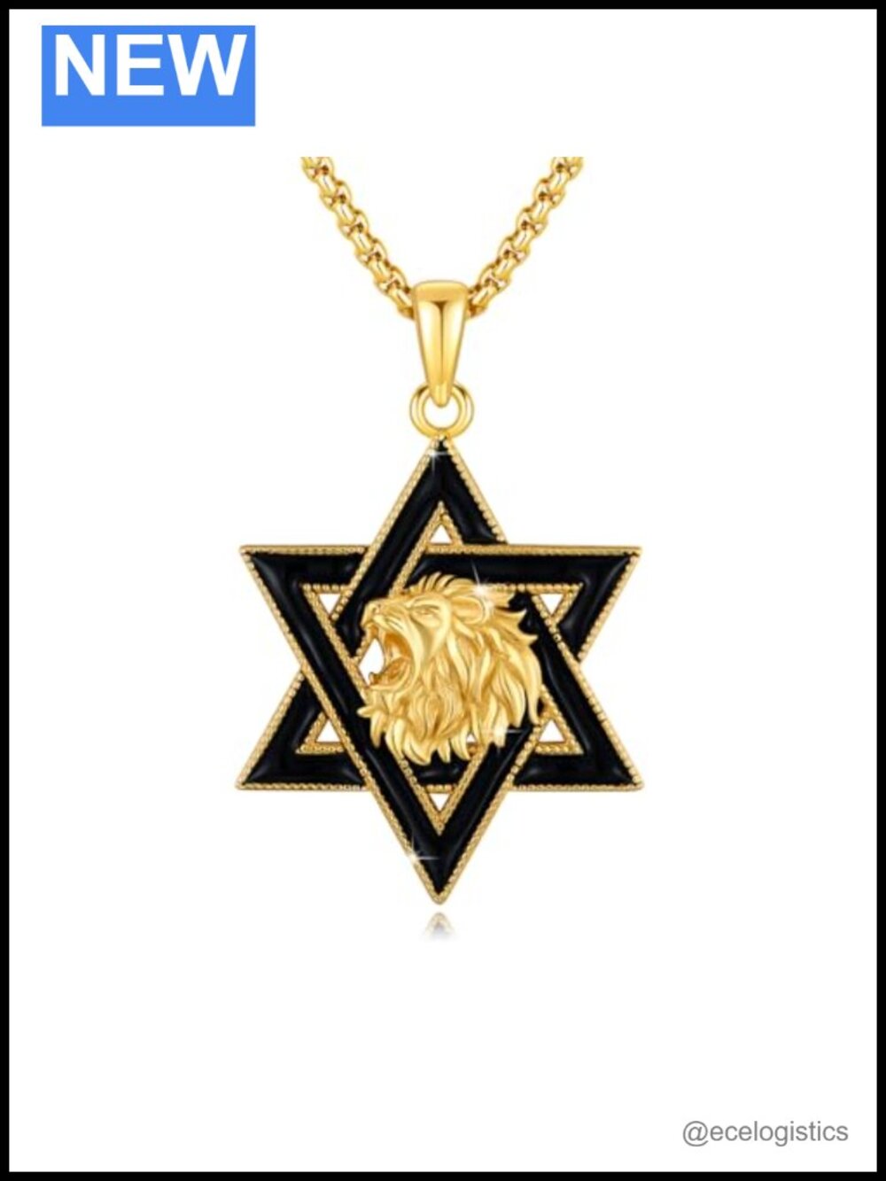 Star of David Necklace Brass Silver Plated Lion Pendant Jewish Jewelry for Men